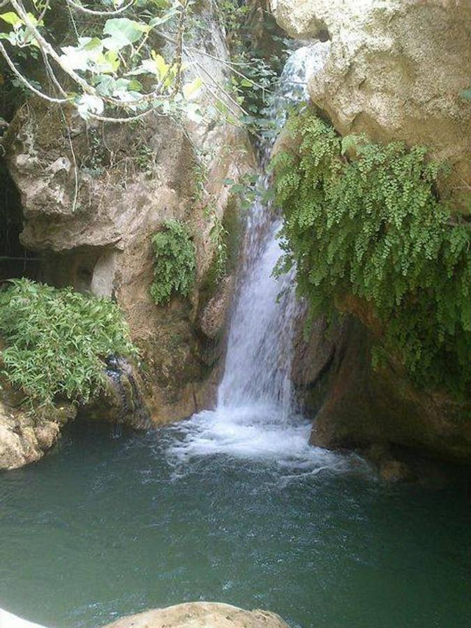 Vakantiehuis La Cabieda - Junto Al Rio Canamares - Ideal Grupos Y Familias