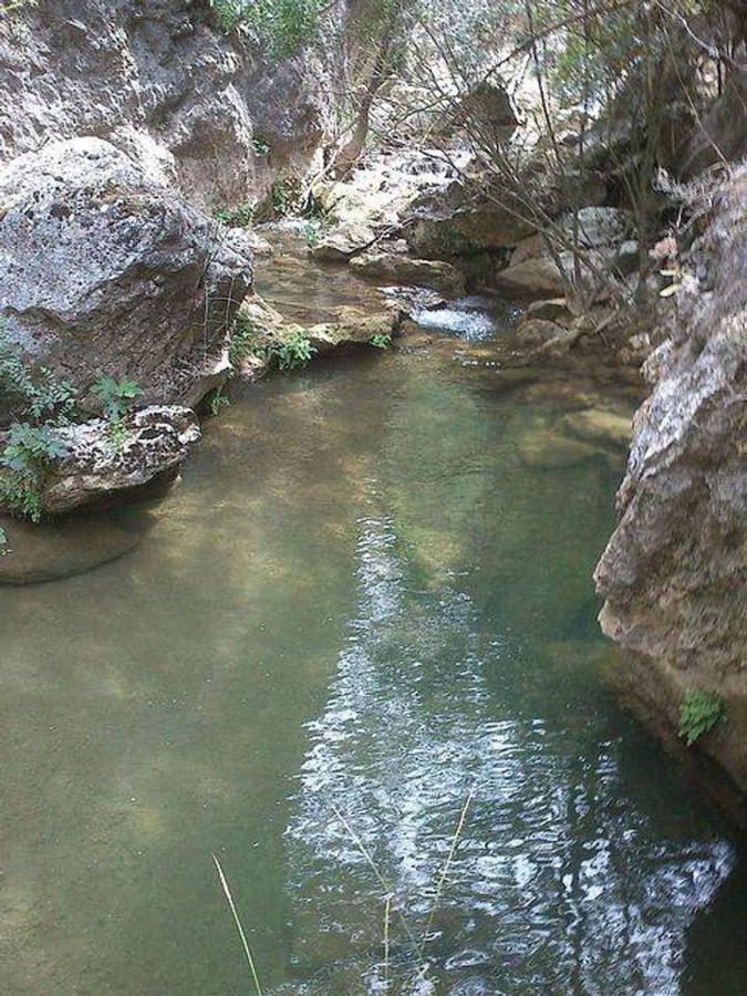 La Cabieda - Junto Al Rio Canamares - Ideal Grupos Y Familias
